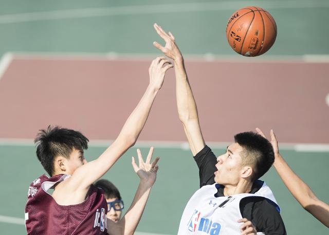 萧海龙一脸悻悻，萧老太太开口说道：当初叶辰用洋水仙冒充韭菜。